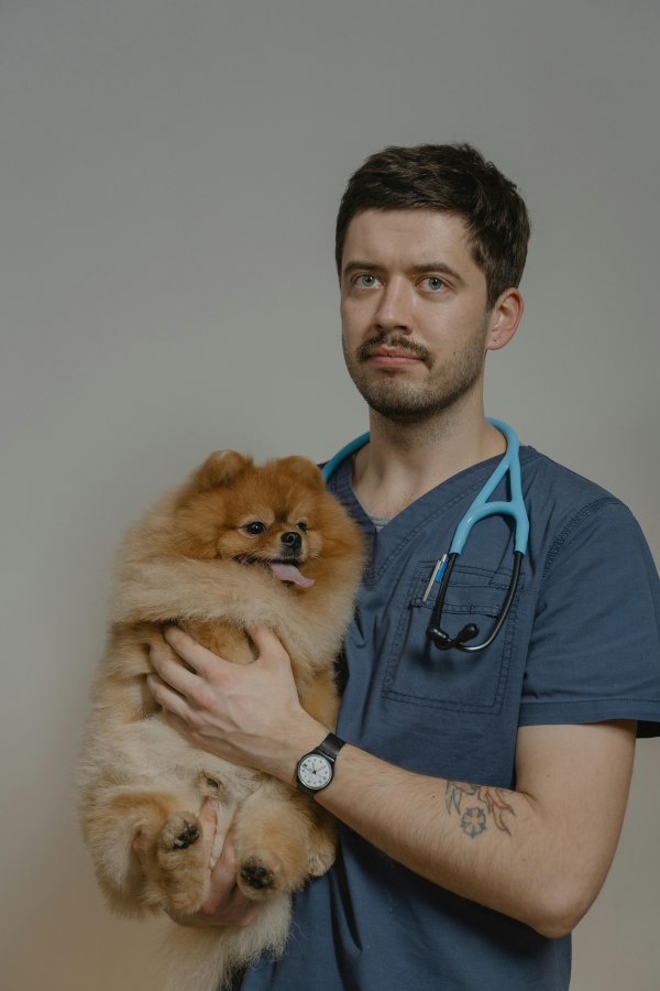 img/veterinario